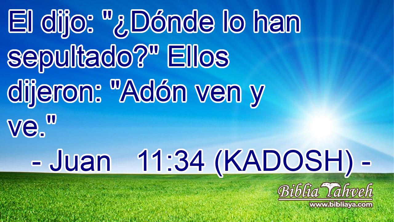  El dijo: 