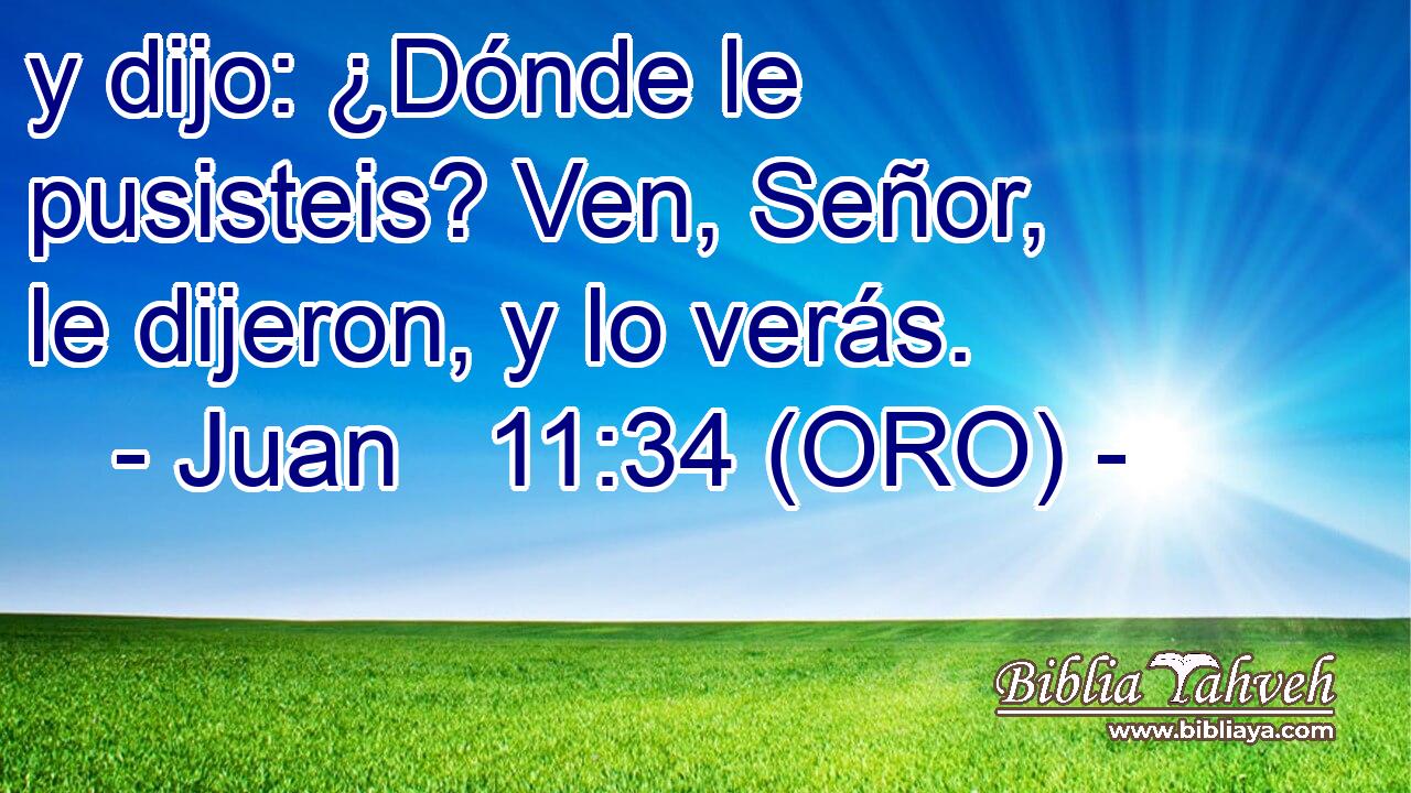  y dijo: ¿Dónde le pusisteis? Ven, Señor, le dijeron, y lo verás. 