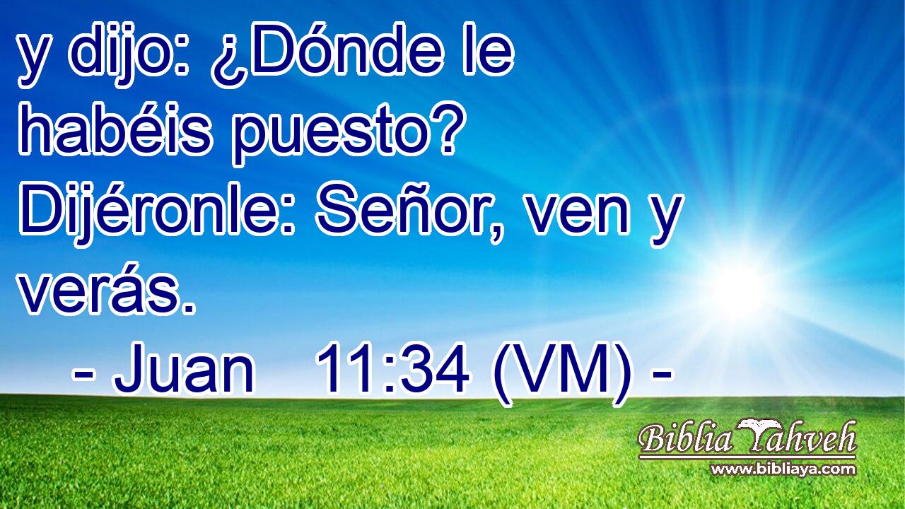  y dijo: ¿Dónde le habéis puesto? Dijéronle: Señor, ven y verás. 