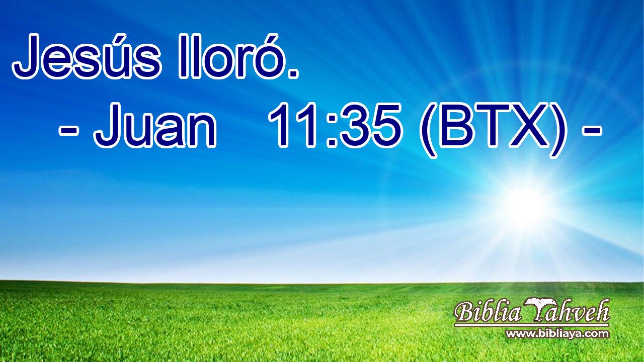 Jesús lloró.