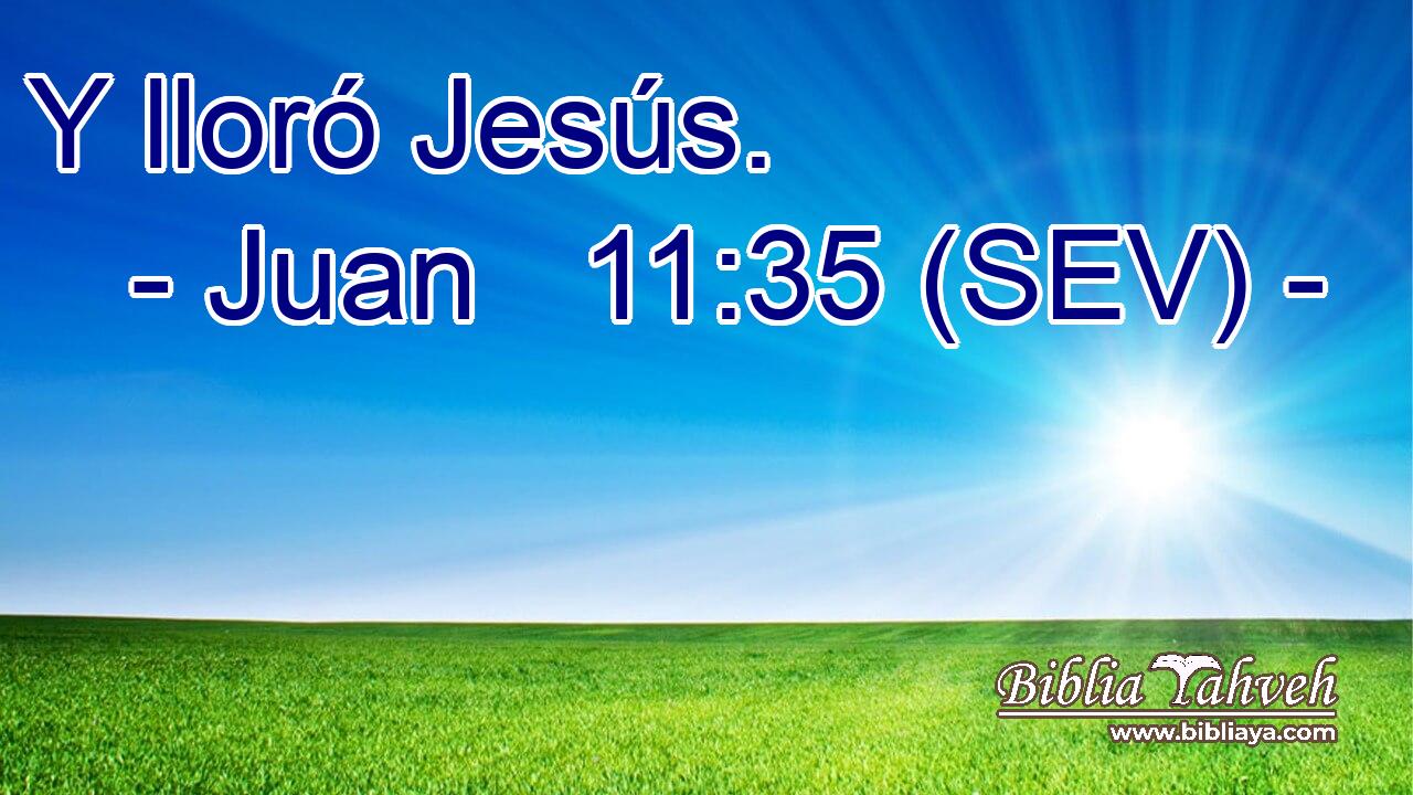 Y lloró Jesús.