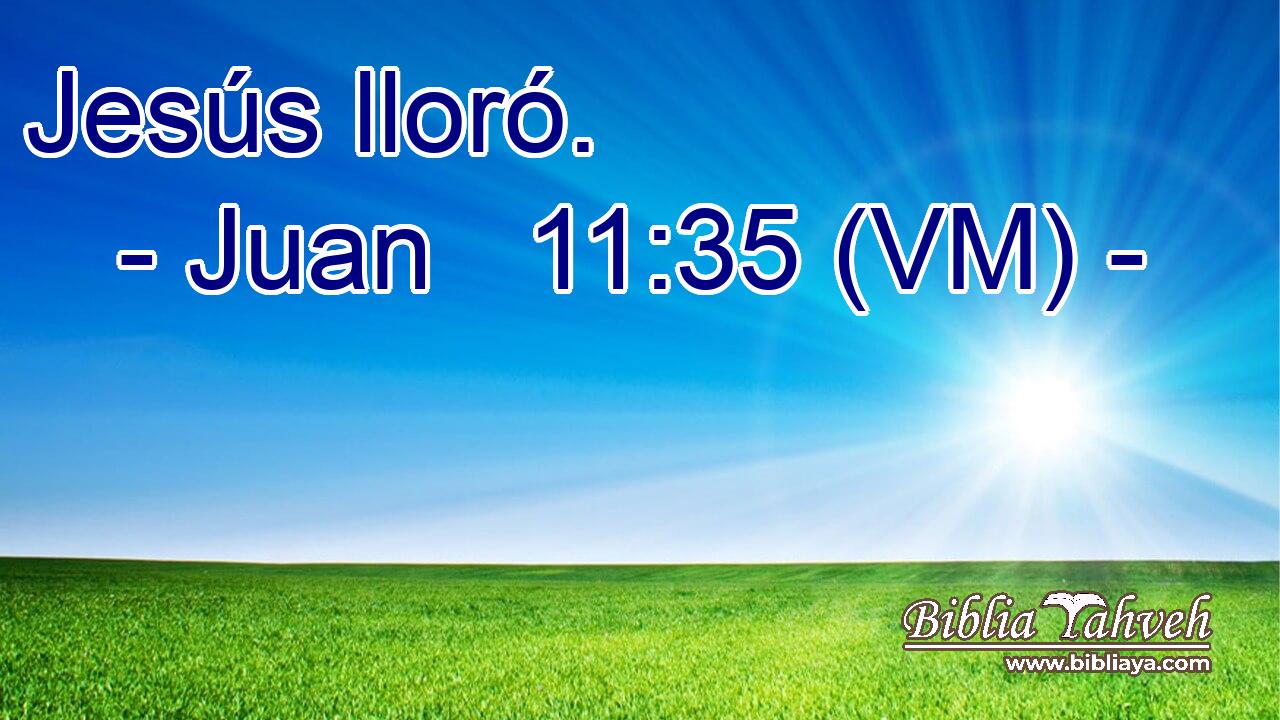  Jesús lloró. 
