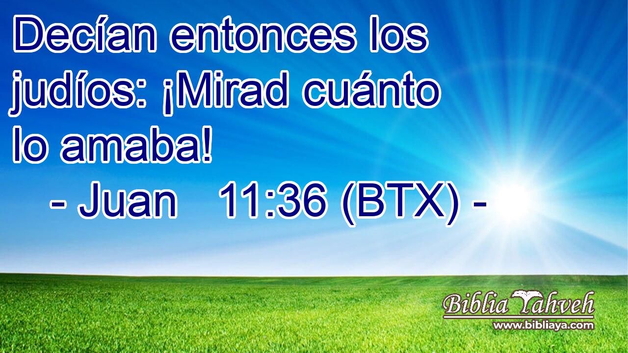 Decían entonces los judíos: ¡Mirad cuánto lo amaba!