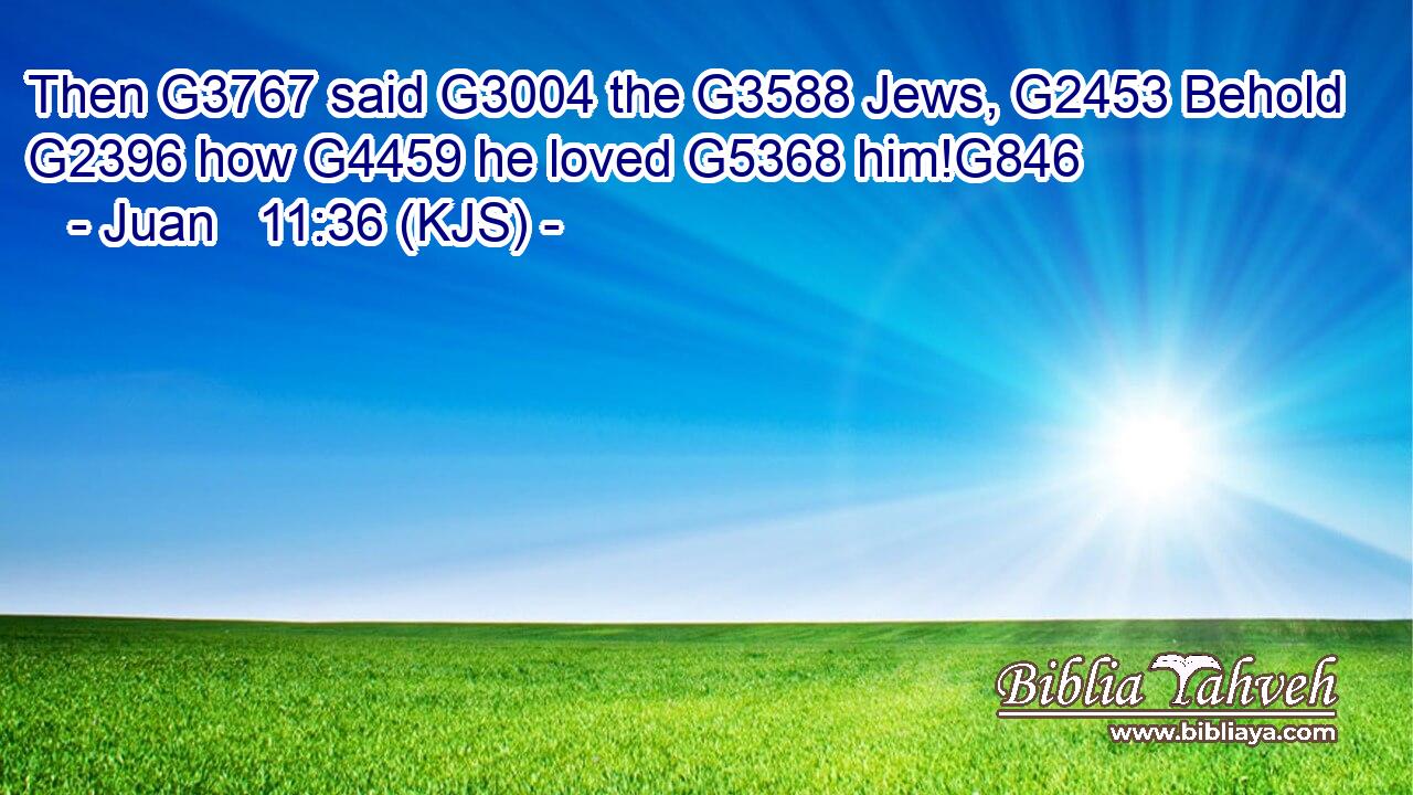 Then G3767 said G3004 the G3588 Jews, G2453 Behold G2396 how G4459 he loved G5368 him!G846