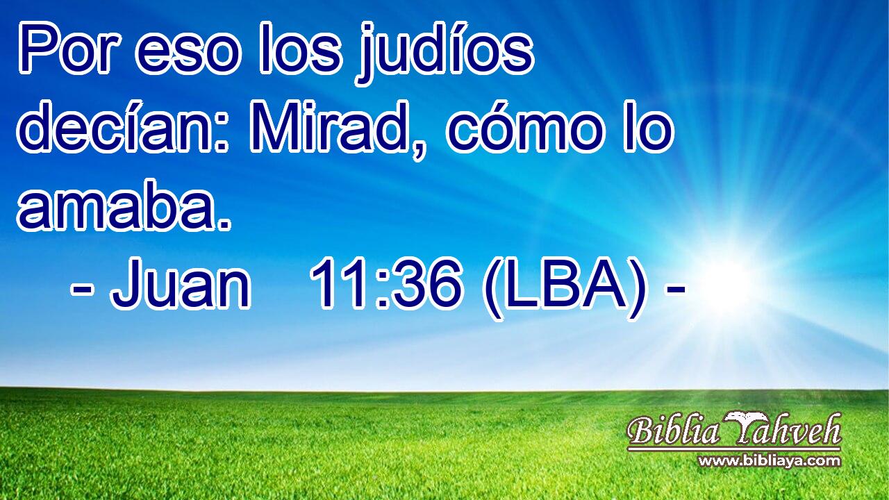 Por eso los judíos decían: Mirad, cómo lo amaba.
