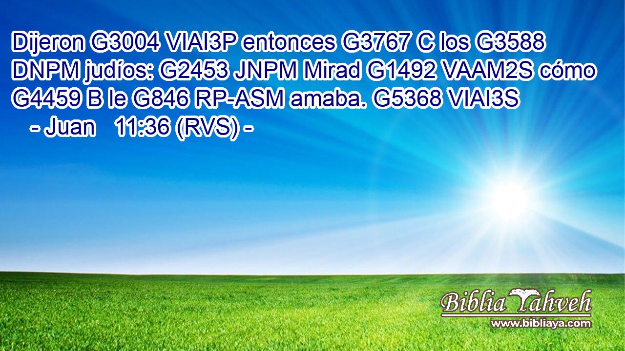 Dijeron G3004 VIAI3P entonces G3767 C los G3588 DNPM judíos: G2453 JNPM Mirad G1492 VAAM2S cómo G4459 B le G846 RP-ASM amaba. G5368 VIAI3S 