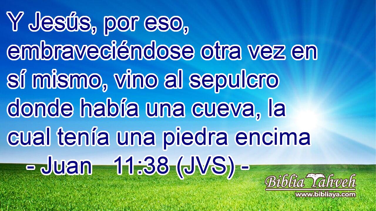 Y Jesús, por eso, embraveciéndose otra vez en sí mismo, vino al sepulcro donde había una cueva, la cual tenía una piedra encima