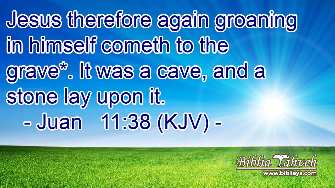 Jesus therefore again groaning in himself cometh to the grave*. It was a cave, and a stone lay upon it.