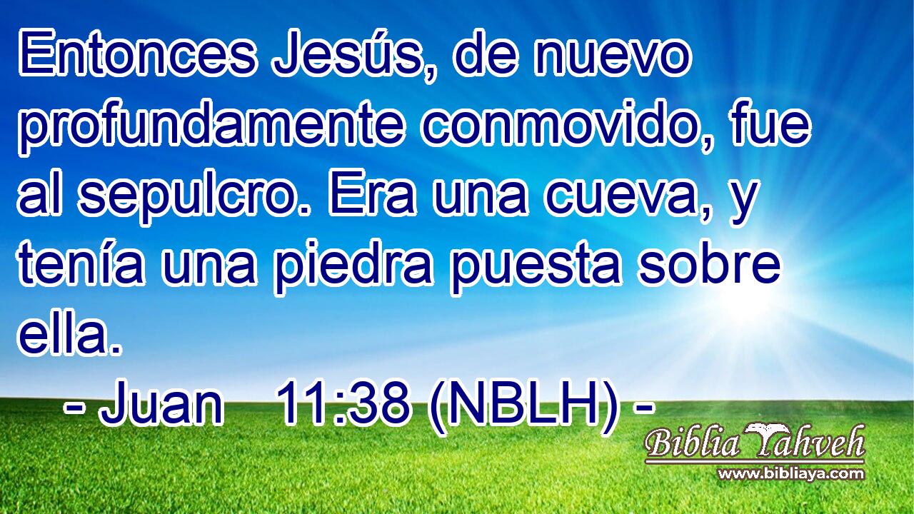  Entonces Jesús, de nuevo profundamente conmovido, fue al sepulcro. Era una cueva, y tenía una piedra puesta sobre ella. 