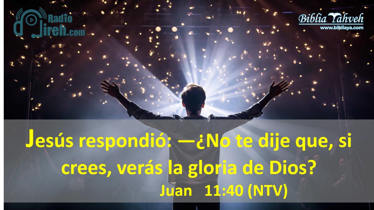 Jesús respondió: —¿No te dije que, si crees, verás la gloria de Dios?