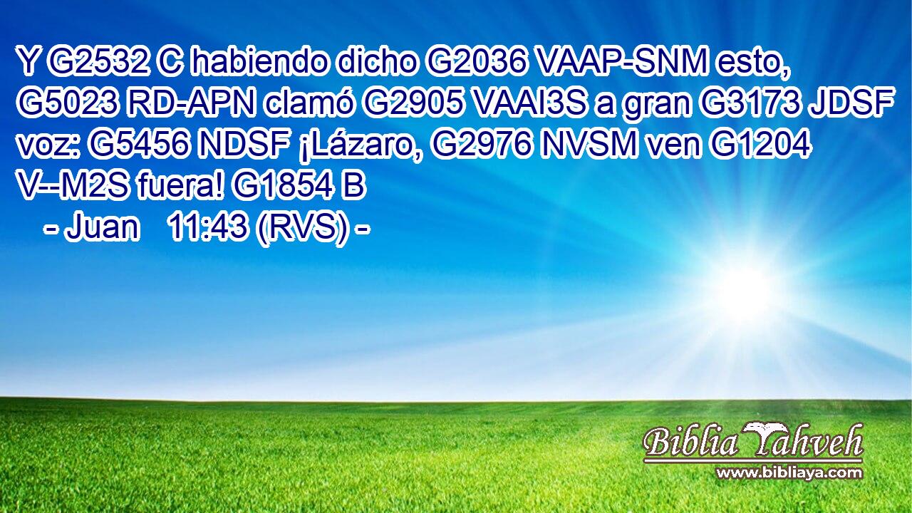 Y G2532 C habiendo dicho G2036 VAAP-SNM esto, G5023 RD-APN clamó G2905 VAAI3S a gran G3173 JDSF voz: G5456 NDSF ¡Lázaro, G2976 NVSM ven G1204 V--M2S fuera! G1854 B 