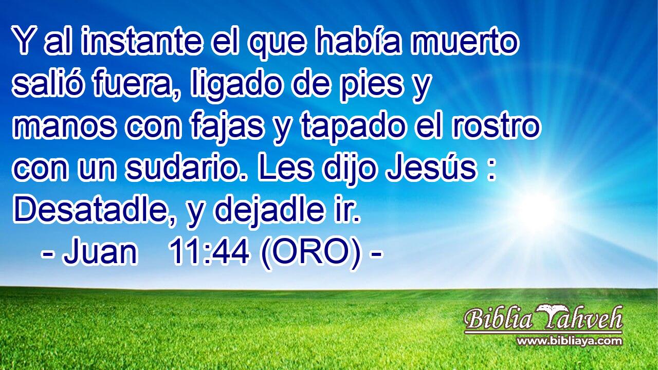  Y al instante el que había muerto salió fuera, ligado de pies y manos con fajas y tapado el rostro con un sudario. Les dijo Jesús : Desatadle, y dejadle ir. 