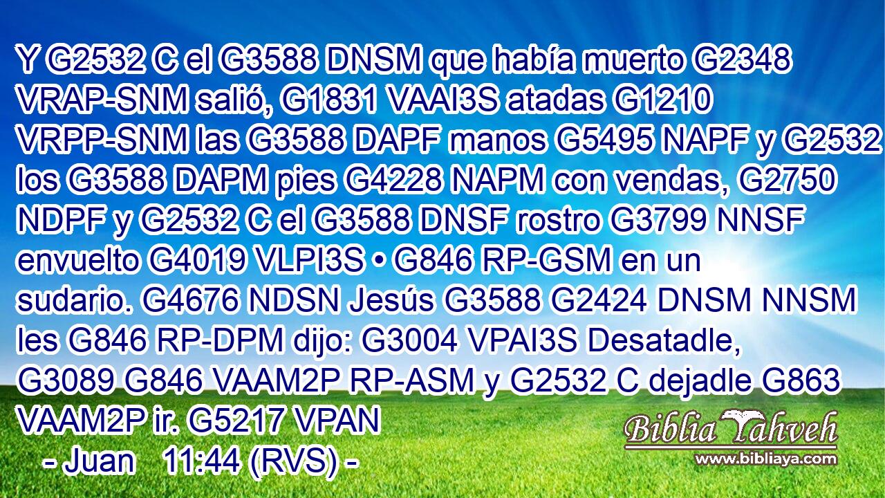 Y G2532 C el G3588 DNSM que había muerto G2348 VRAP-SNM salió, G1831 VAAI3S atadas G1210 VRPP-SNM las G3588 DAPF manos G5495 NAPF y G2532 C los G3588 DAPM pies G4228 NAPM con vendas, G2750 NDPF y G2532 C el G3588 DNSF rostro G3799 NNSF envuelto G4019 VLPI3S • G846 RP-GSM en un sudario. G4676 NDSN Jesús G3588 G2424 DNSM NNSM les G846 RP-DPM dijo: G3004 VPAI3S Desatadle, G3089 G846 VAAM2P RP-ASM y G2532 C dejadle G863 VAAM2P ir. G5217 VPAN 