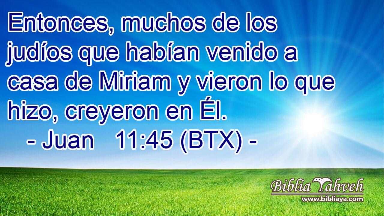 Entonces, muchos de los judíos que habían venido a casa de Miriam y vieron lo que hizo, creyeron en Él.