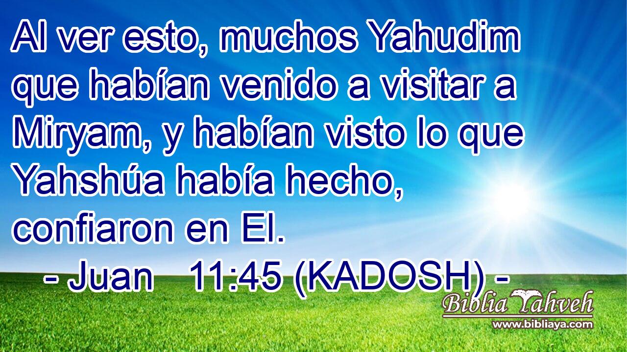  Al ver esto, muchos Yahudim que habían venido a visitar a Miryam, y habían visto lo que Yahshúa había hecho, confiaron en El. 