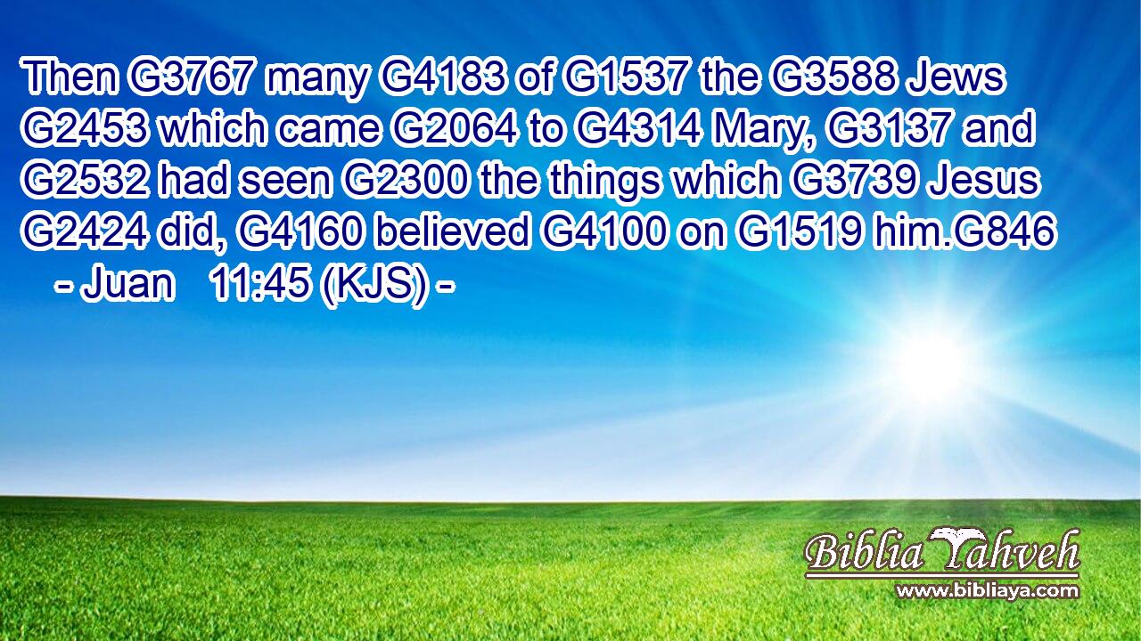 Then G3767 many G4183 of G1537 the G3588 Jews G2453 which came G2064 to G4314 Mary, G3137 and G2532 had seen G2300 the things which G3739 Jesus G2424 did, G4160 believed G4100 on G1519 him.G846