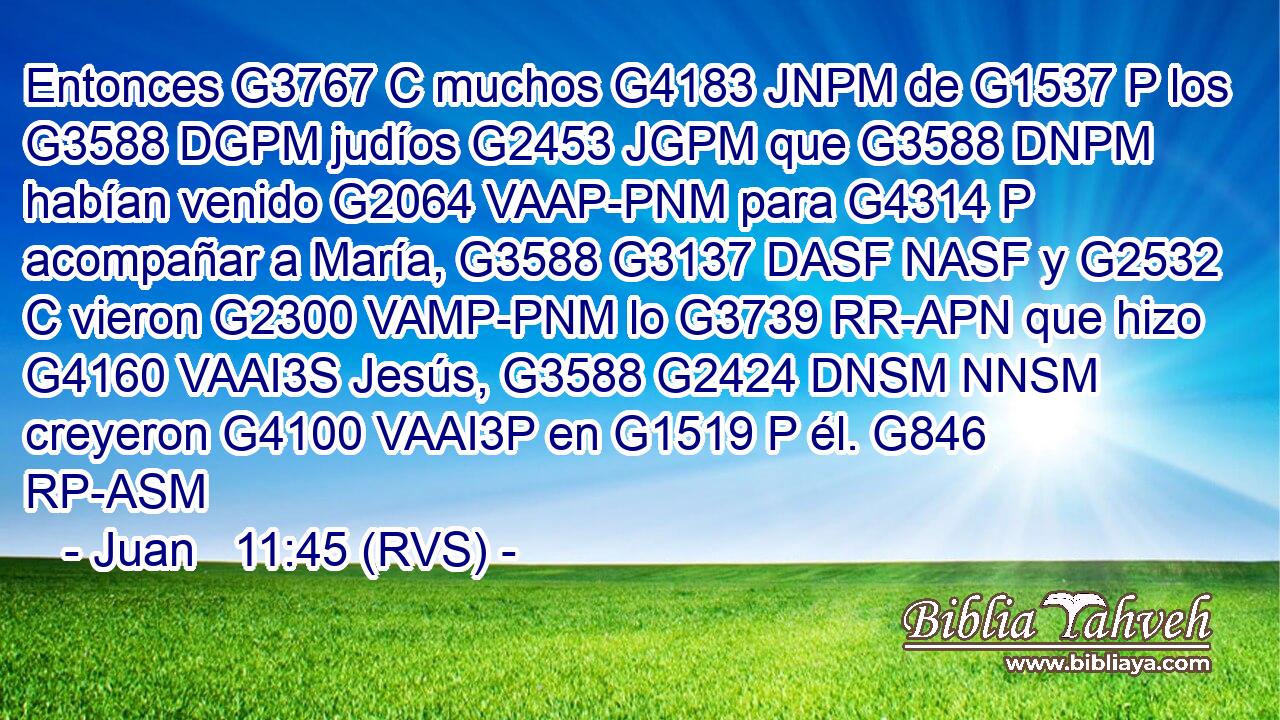 Entonces G3767 C muchos G4183 JNPM de G1537 P los G3588 DGPM judíos G2453 JGPM que G3588 DNPM habían venido G2064 VAAP-PNM para G4314 P acompañar a María, G3588 G3137 DASF NASF y G2532 C vieron G2300 VAMP-PNM lo G3739 RR-APN que hizo G4160 VAAI3S Jesús, G3588 G2424 DNSM NNSM creyeron G4100 VAAI3P en G1519 P él. G846 RP-ASM 