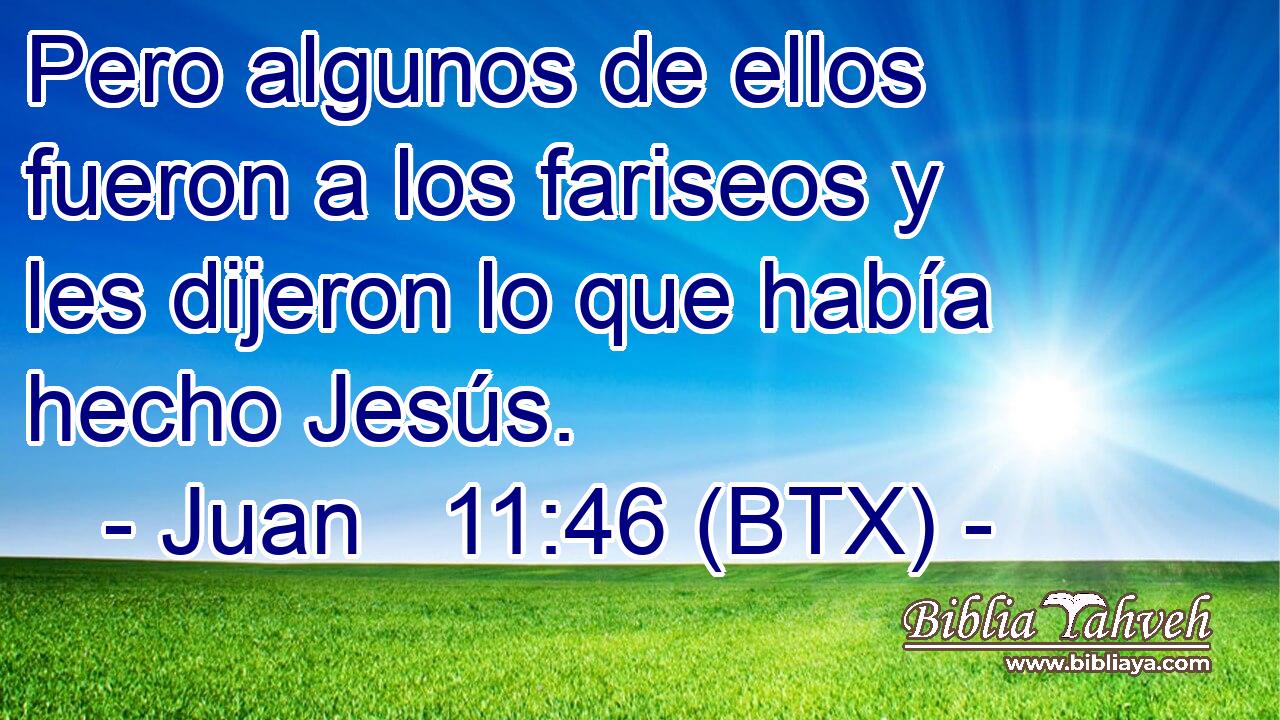 Pero algunos de ellos fueron a los fariseos y les dijeron lo que había hecho Jesús.