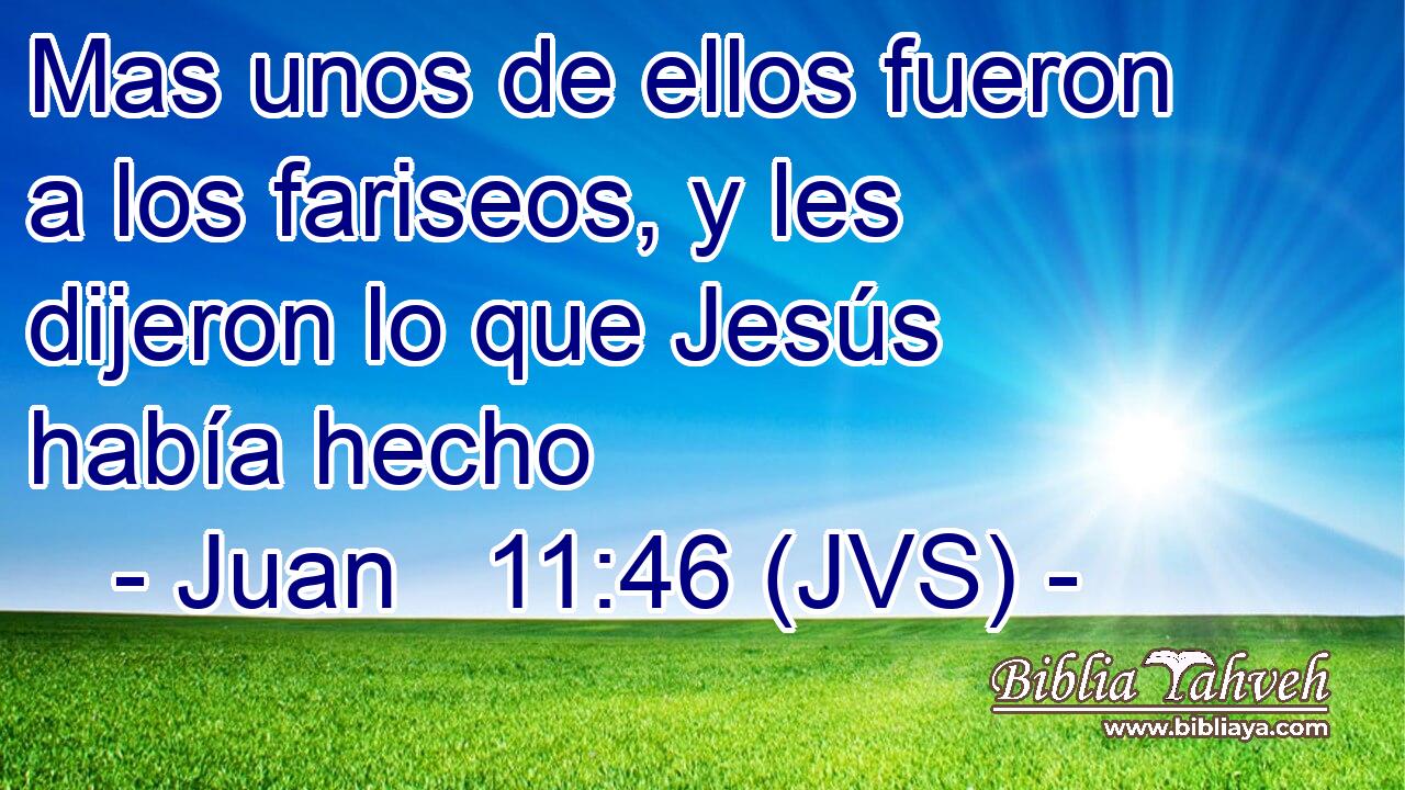 Mas unos de ellos fueron a los fariseos, y les dijeron lo que Jesús había hecho