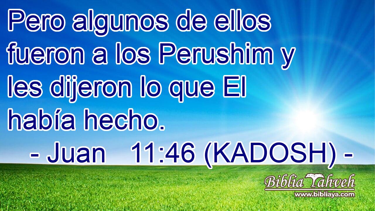  Pero algunos de ellos fueron a los Perushim y les dijeron lo que El había hecho. 