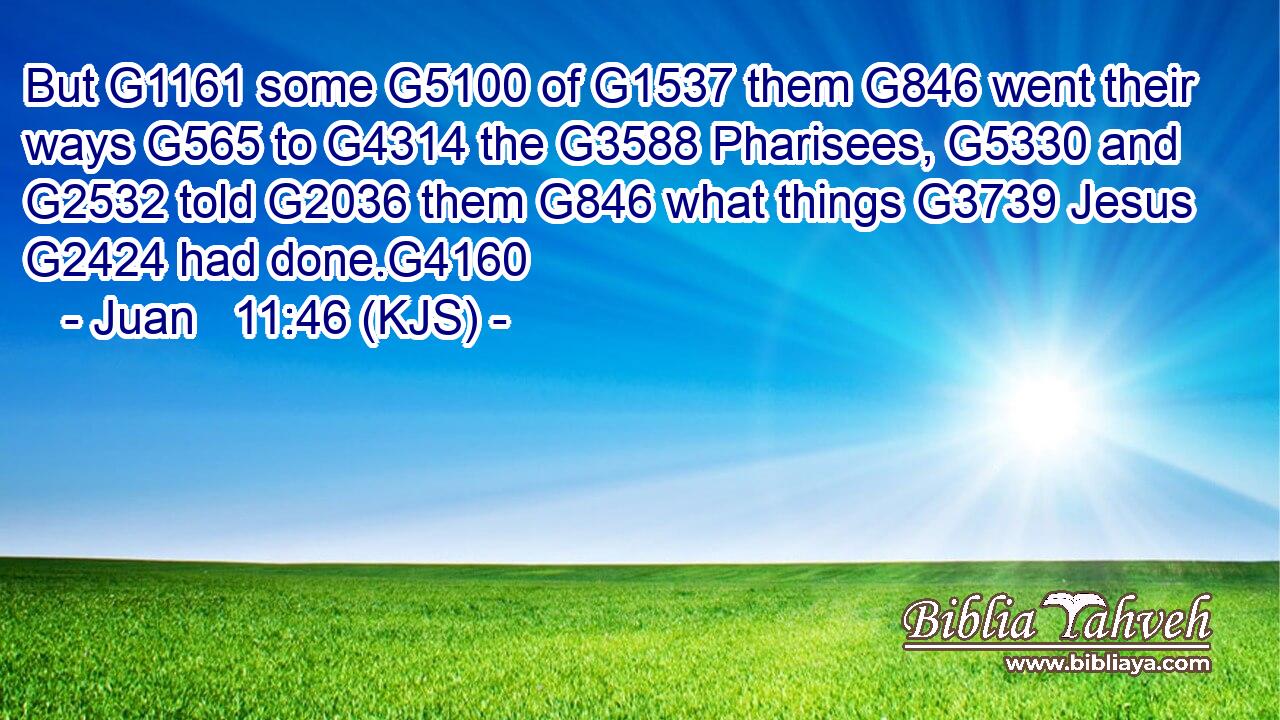 But G1161 some G5100 of G1537 them G846 went their ways G565 to G4314 the G3588 Pharisees, G5330 and G2532 told G2036 them G846 what things G3739 Jesus G2424 had done.G4160