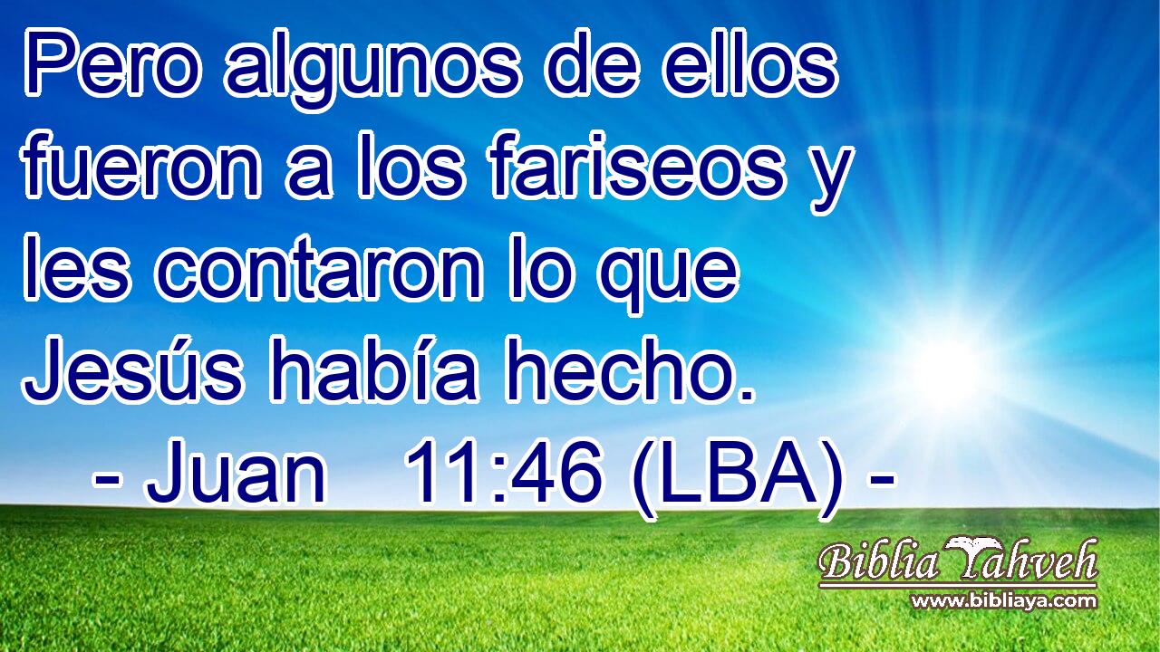 Pero algunos de ellos fueron a los fariseos y les contaron lo que Jesús había hecho.