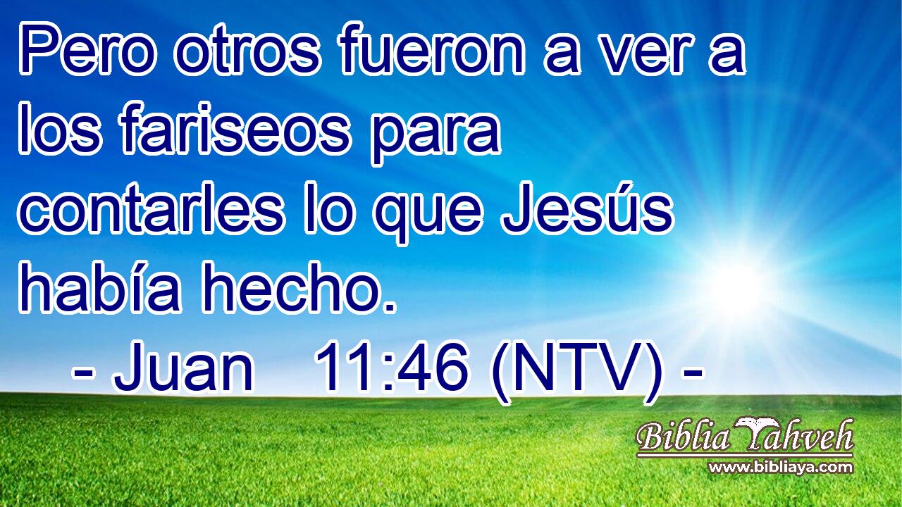 Pero otros fueron a ver a los fariseos para contarles lo que Jesús había hecho.