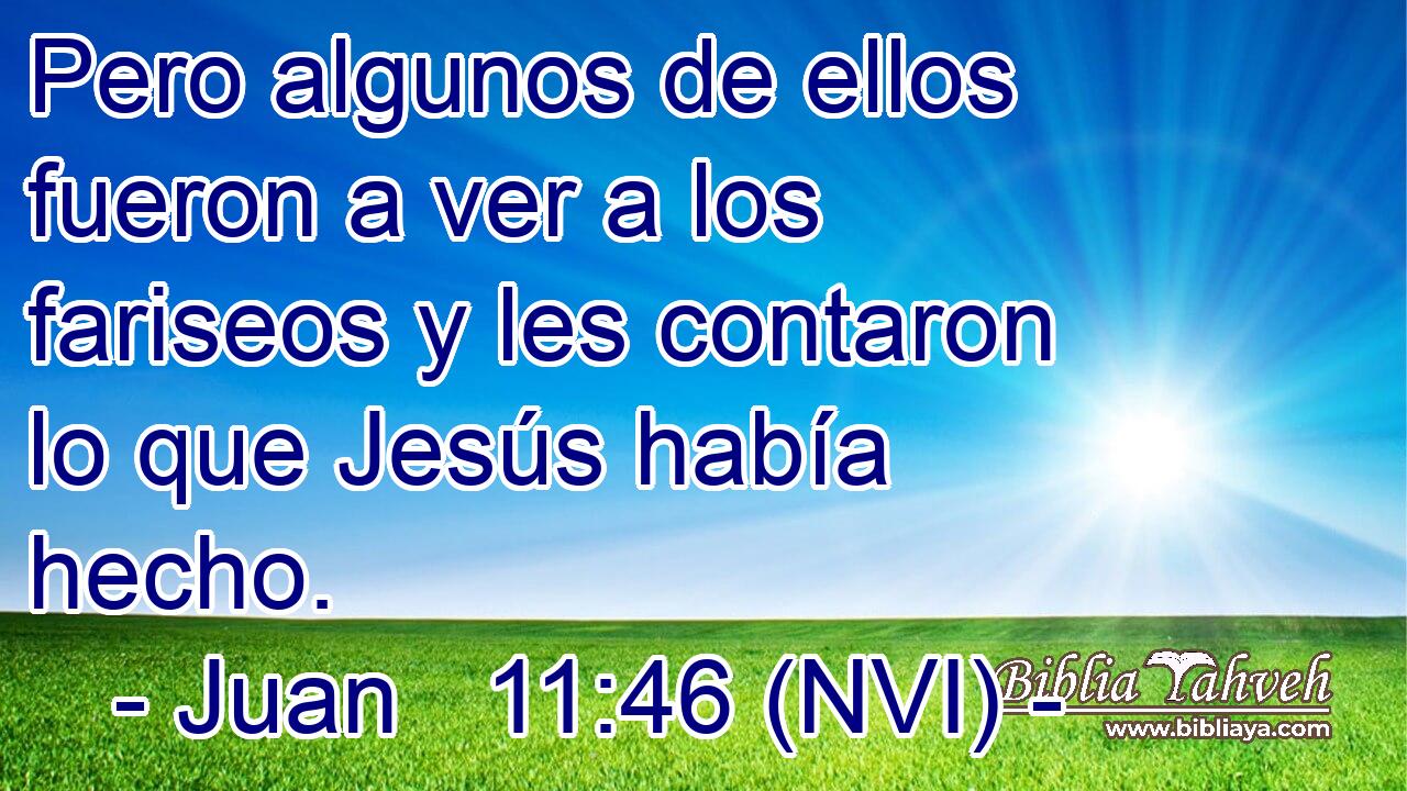  Pero algunos de ellos fueron a ver a los fariseos y les contaron lo que Jesús había hecho. 