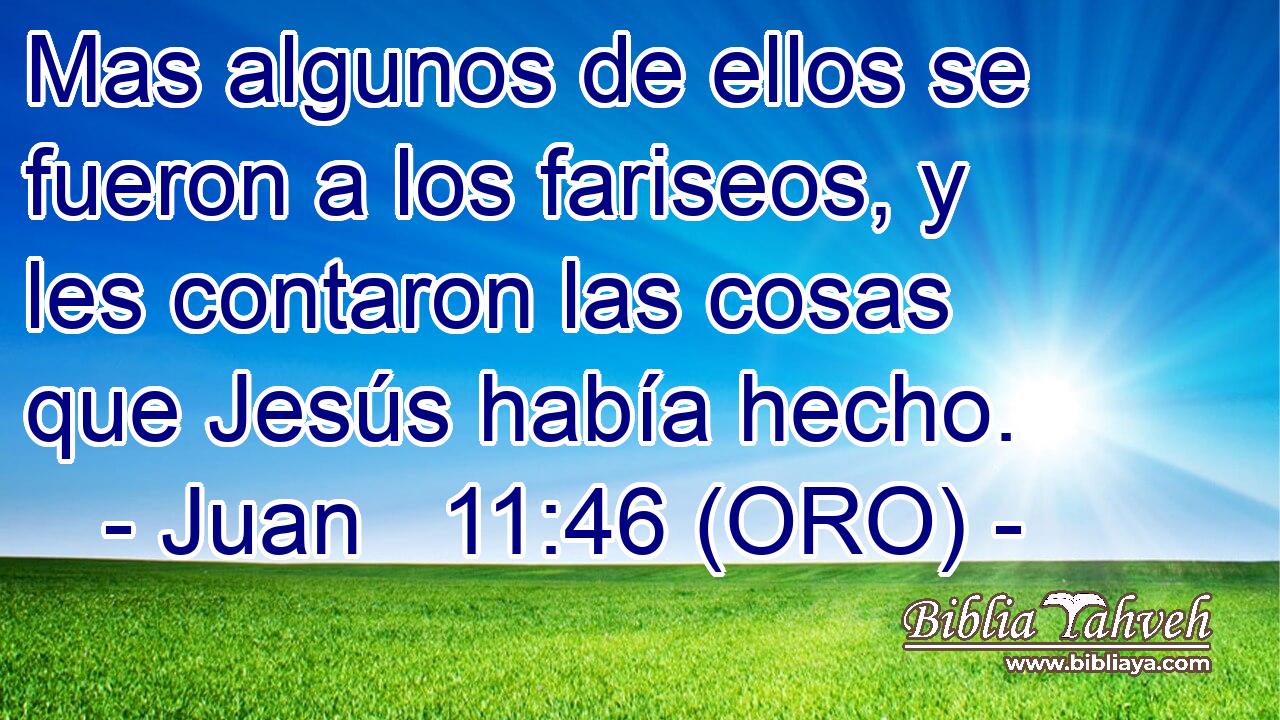 Mas algunos de ellos se fueron a los fariseos, y les contaron las cosas que Jesús había hecho. 