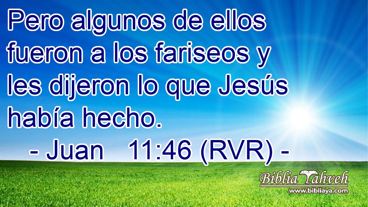 Pero algunos de ellos fueron a los fariseos y les dijeron lo que Jesús había hecho.