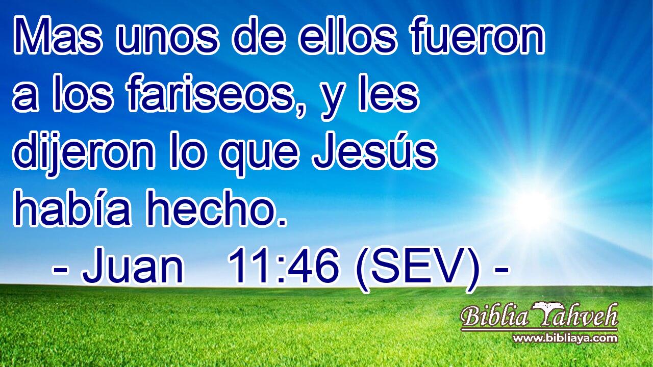 Mas unos de ellos fueron a los fariseos, y les dijeron lo que Jesús había hecho.