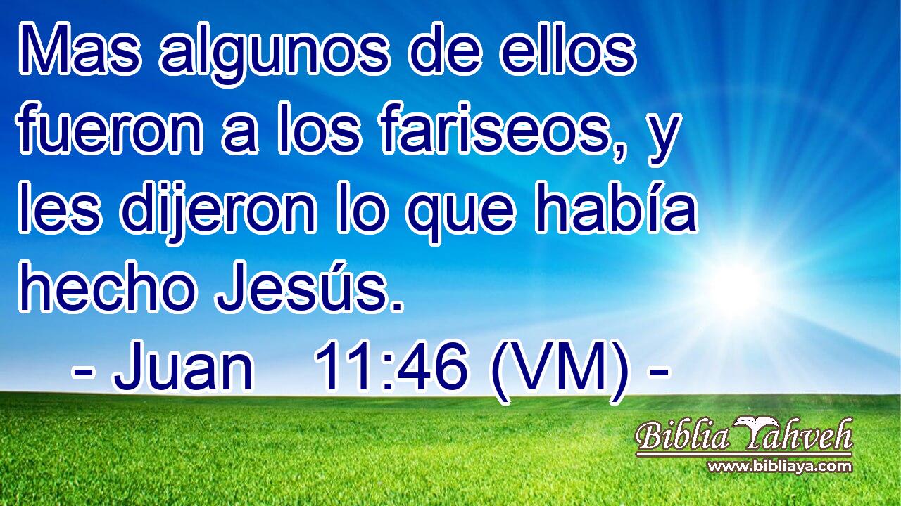  Mas algunos de ellos fueron a los fariseos, y les dijeron lo que había hecho Jesús. 