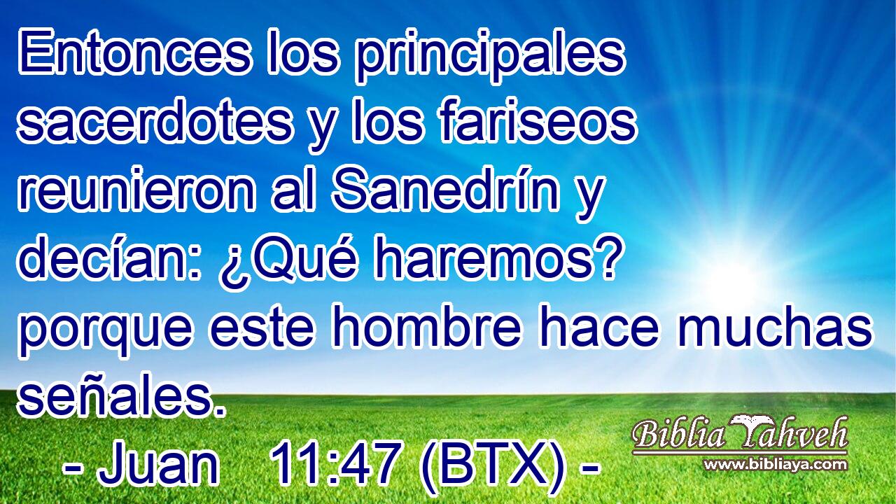 Entonces los principales sacerdotes y los fariseos reunieron al Sanedrín y decían: ¿Qué haremos? porque este hombre hace muchas señales.
