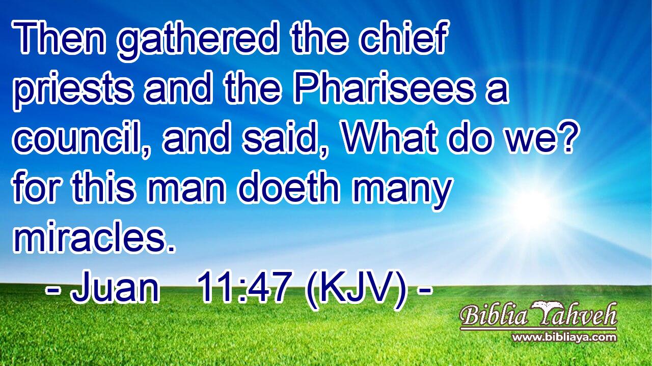 Then gathered the chief priests and the Pharisees a council, and said, What do we? for this man doeth many miracles.