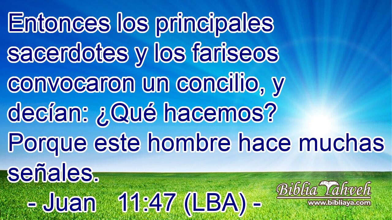 Entonces los principales sacerdotes y los fariseos convocaron un concilio, y decían: ¿Qué hacemos? Porque este hombre hace muchas señales.
