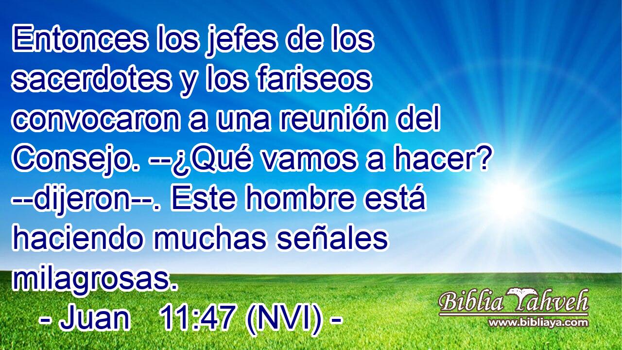  Entonces los jefes de los sacerdotes y los fariseos convocaron a una reunión del Consejo. --¿Qué vamos a hacer? --dijeron--. Este hombre está haciendo muchas señales milagrosas. 