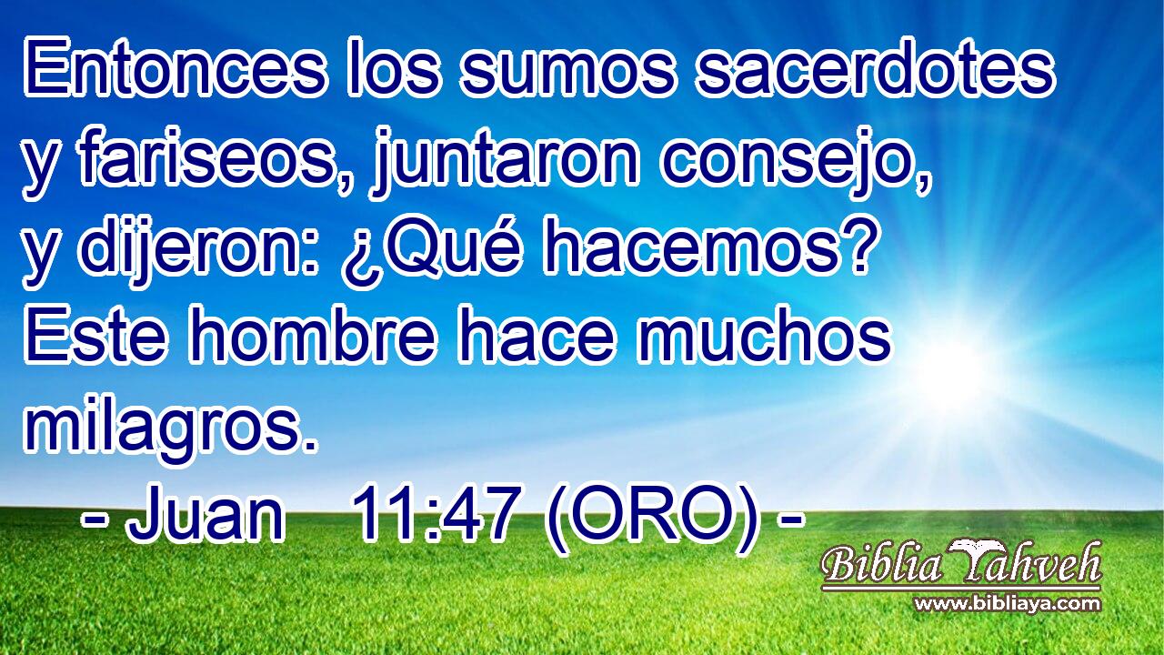  Entonces los sumos sacerdotes y fariseos, juntaron consejo, y dijeron: ¿Qué hacemos? Este hombre hace muchos milagros. 