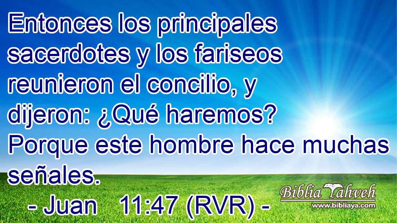 Entonces los principales sacerdotes y los fariseos reunieron el concilio, y dijeron: ¿Qué haremos? Porque este hombre hace muchas señales.