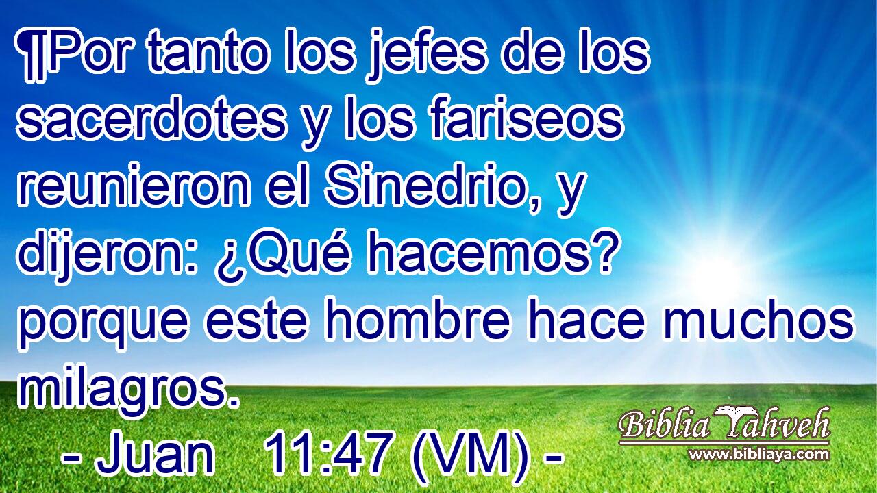  ¶Por tanto los jefes de los sacerdotes y los fariseos reunieron el Sinedrio, y dijeron: ¿Qué hacemos? porque este hombre hace muchos milagros. 