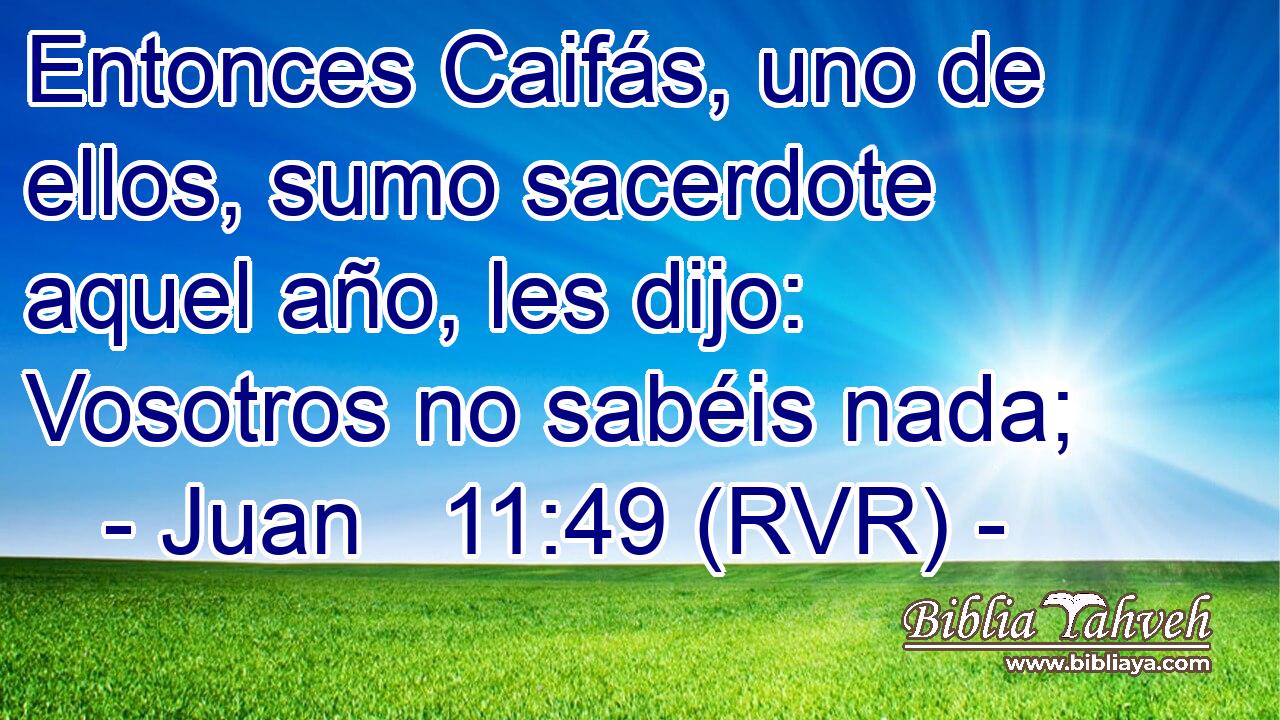 Entonces Caifás, uno de ellos, sumo sacerdote aquel año, les dijo: Vosotros no sabéis nada;