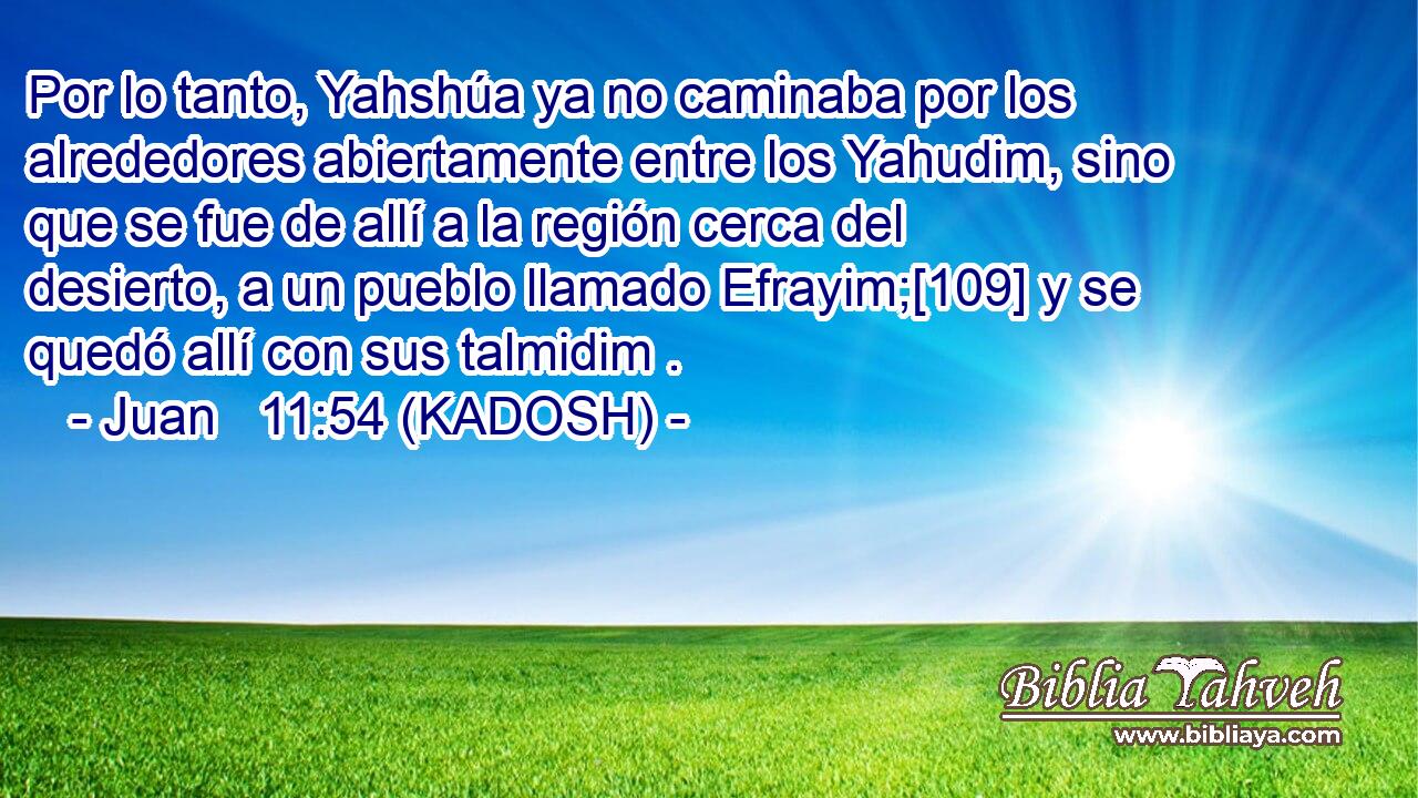  Por lo tanto, Yahshúa ya no caminaba por los alrededores abiertamente entre los Yahudim, sino que se fue de allí a la región cerca del desierto, a un pueblo llamado Efrayim;[109] y se quedó allí con sus talmidim . 