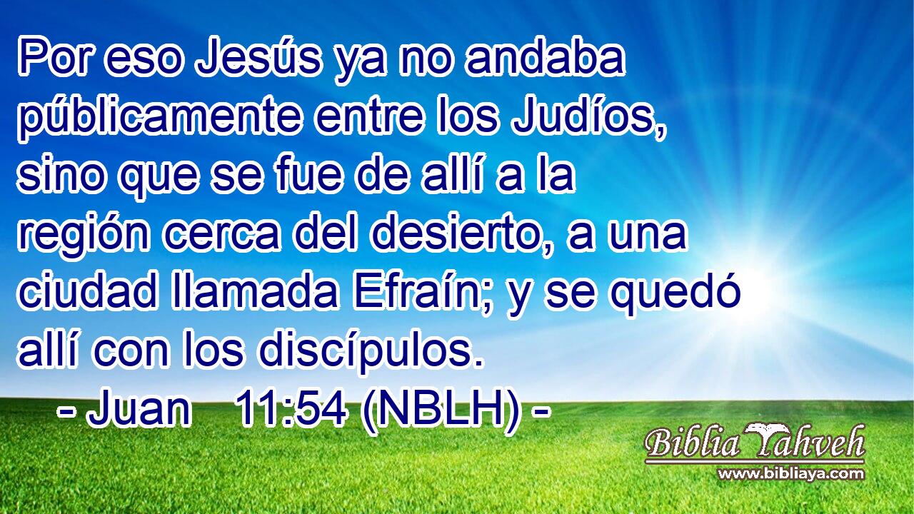  Por eso Jesús ya no andaba públicamente entre los Judíos, sino que se fue de allí a la región cerca del desierto, a una ciudad llamada Efraín; y se quedó allí con los discípulos. 