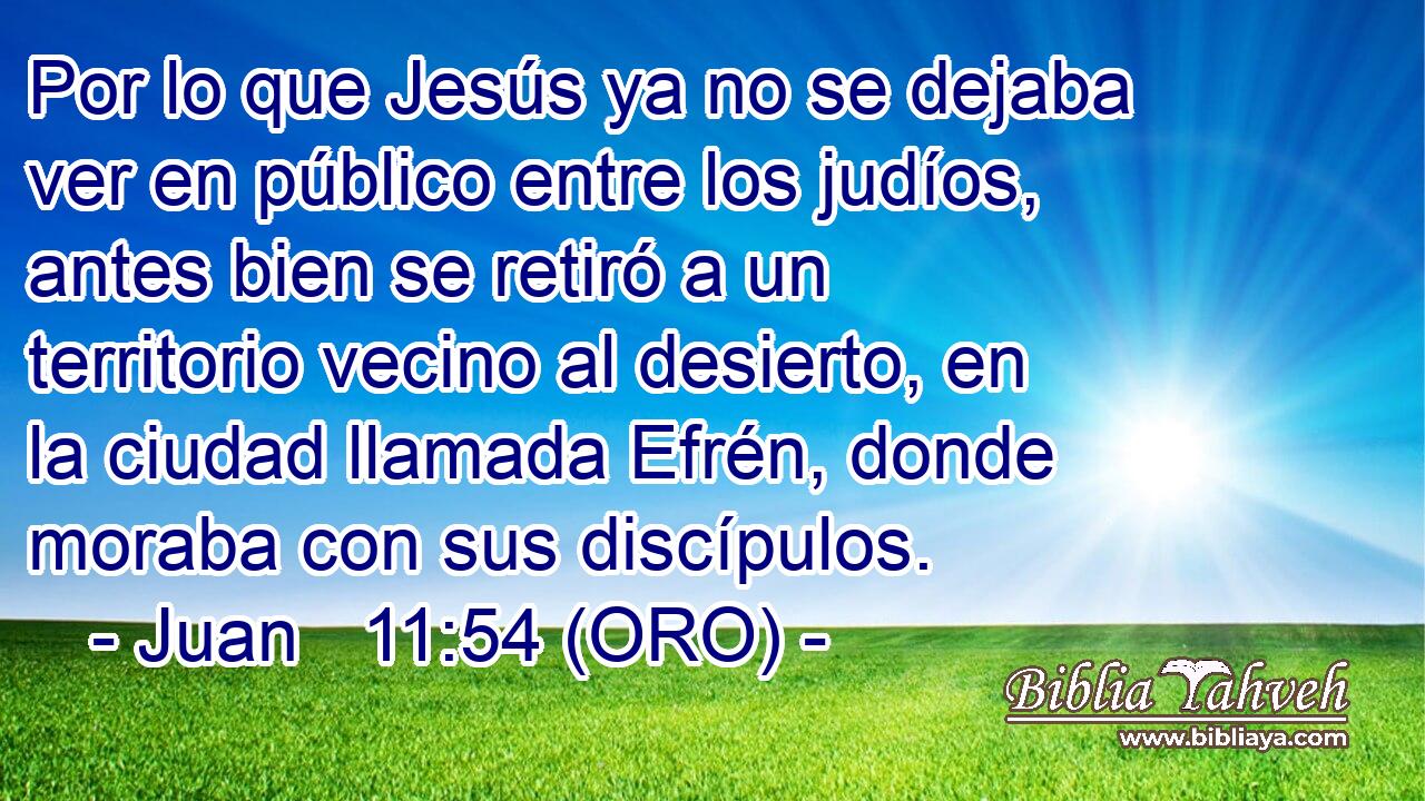  Por lo que Jesús ya no se dejaba ver en público entre los judíos, antes bien se retiró a un territorio vecino al desierto, en la ciudad llamada Efrén, donde moraba con sus discípulos. 