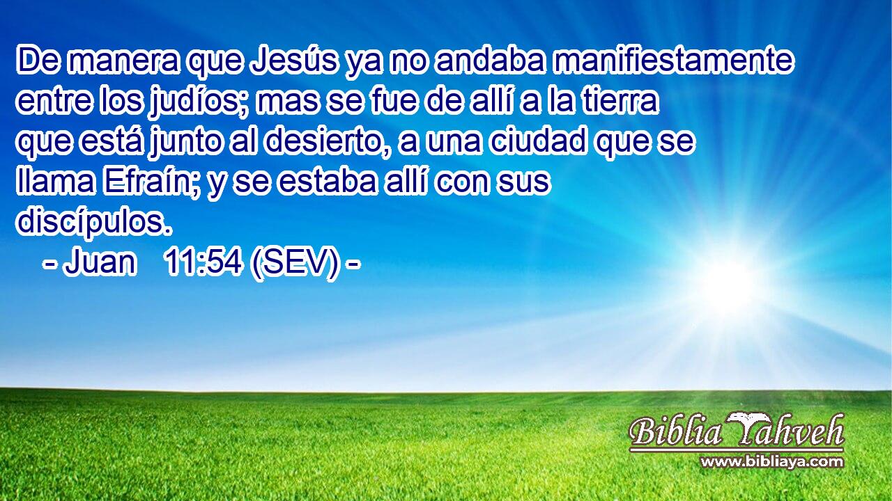 De manera que Jesús ya no andaba manifiestamente entre los judíos; mas se fue de allí a la tierra que está junto al desierto, a una ciudad que se llama Efraín; y se estaba allí con sus discípulos.