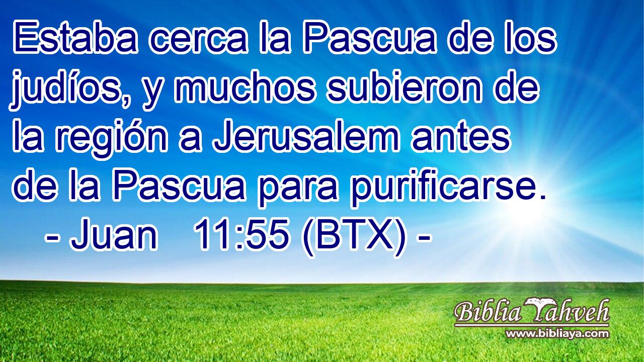 Estaba cerca la Pascua de los judíos, y muchos subieron de la región a Jerusalem antes de la Pascua para purificarse.