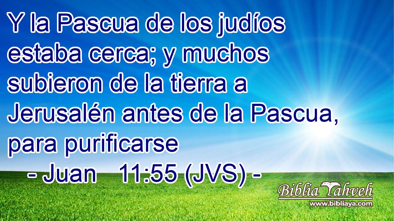 Y la Pascua de los judíos estaba cerca; y muchos subieron de la tierra a Jerusalén antes de la Pascua, para purificarse