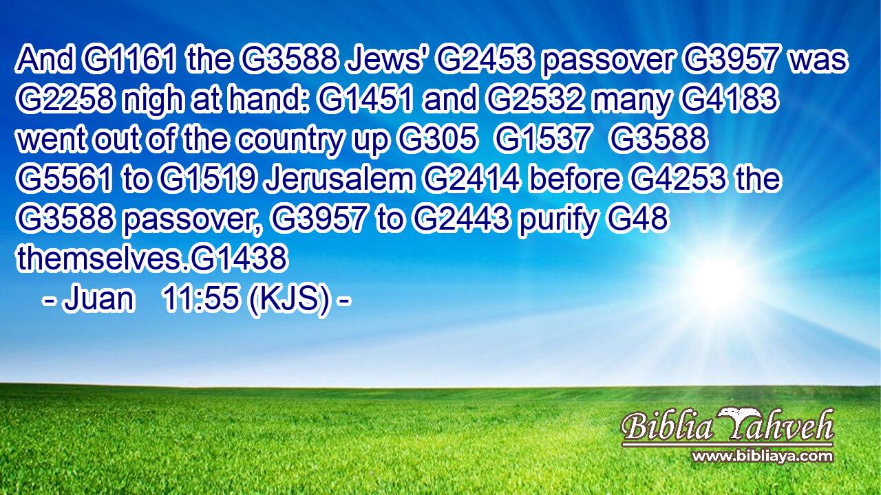 And G1161 the G3588 Jews' G2453 passover G3957 was G2258 nigh at hand: G1451 and G2532 many G4183 went out of the country up G305  G1537  G3588  G5561 to G1519 Jerusalem G2414 before G4253 the G3588 passover, G3957 to G2443 purify G48 themselves.G1438