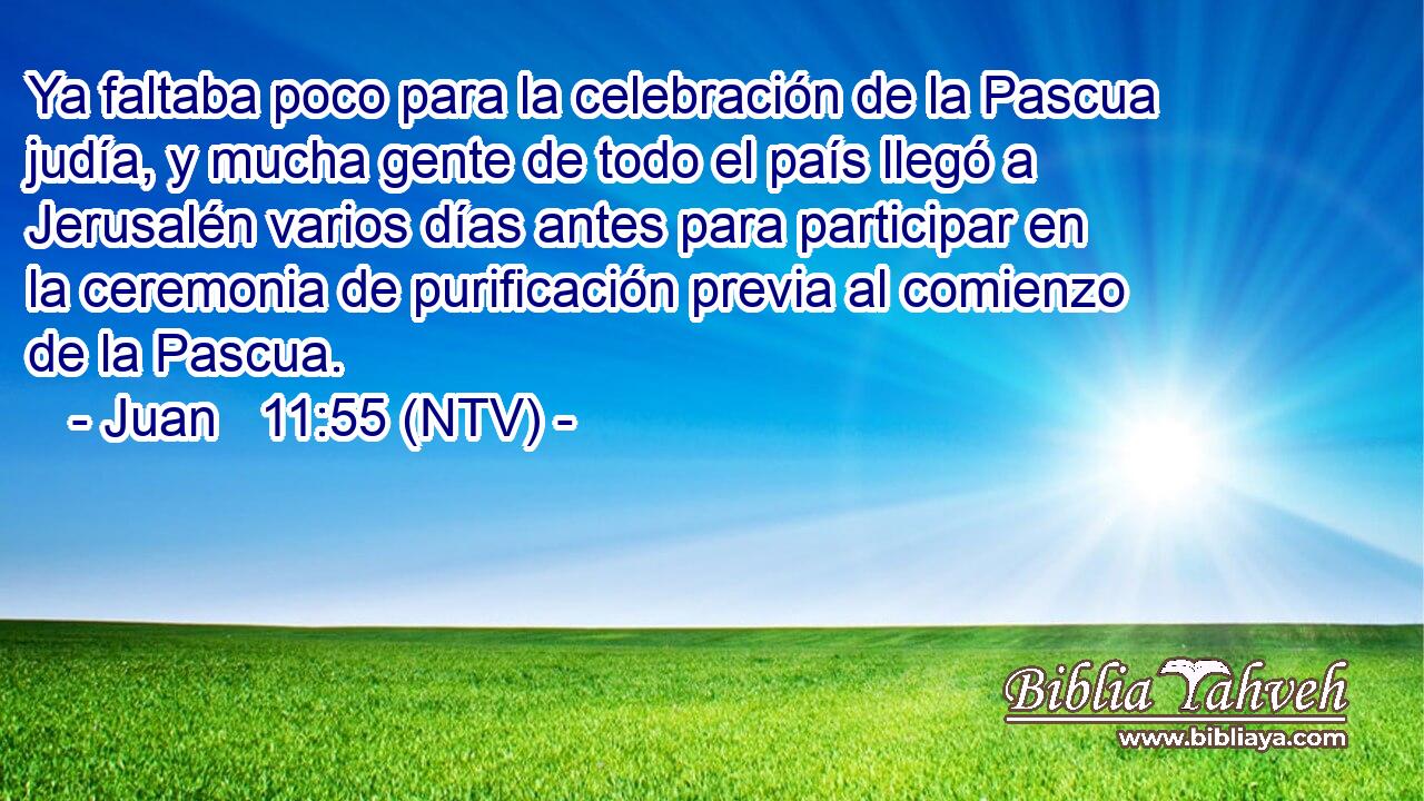 Ya faltaba poco para la celebración de la Pascua judía, y mucha gente de todo el país llegó a Jerusalén varios días antes para participar en la ceremonia de purificación previa al comienzo de la Pascua.