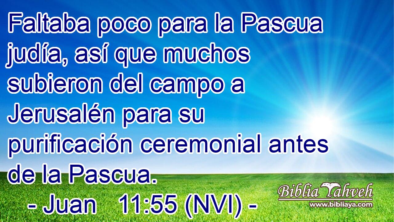  Faltaba poco para la Pascua judía, así que muchos subieron del campo a Jerusalén para su purificación ceremonial antes de la Pascua. 