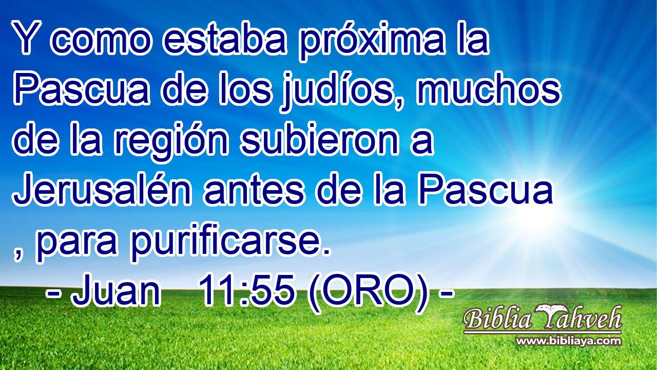  Y como estaba próxima la Pascua de los judíos, muchos de la región subieron a Jerusalén antes de la Pascua , para purificarse. 
